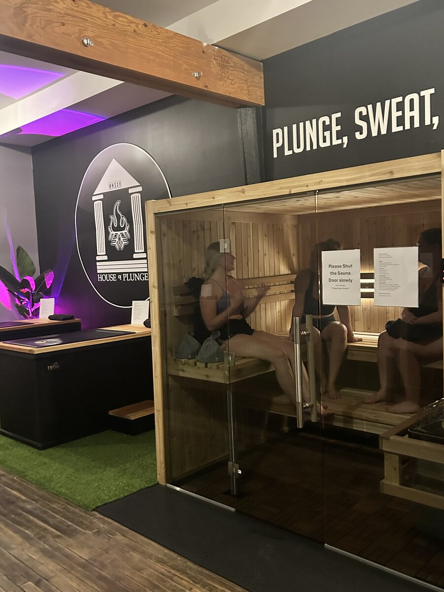 House Of Plunge sauna room